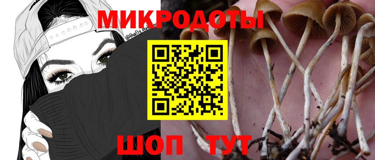Галлюциногенные грибы мицелий  Галлюциногенные грибы мухоморы  Вход с VPN  цены   Норильск 