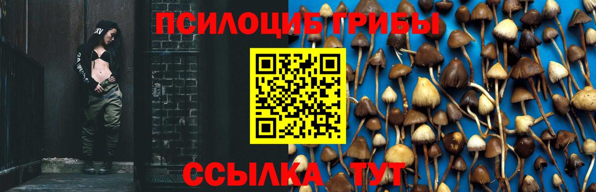 Псилоцибиновые грибы Magic Shrooms Норильск